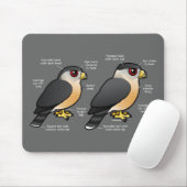 Coop v Sharpie Muismat (Met muis)