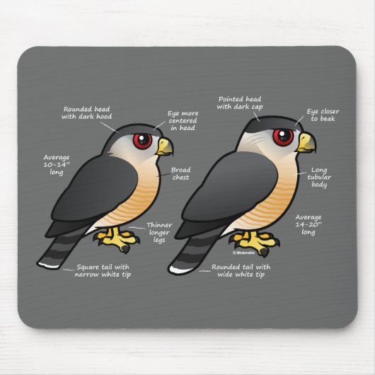 Coop v Sharpie Muismat (Voorkant)