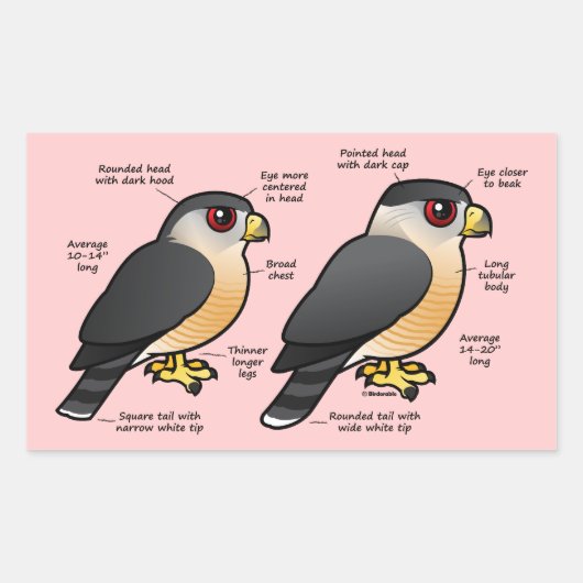 Coop v Sharpie Rechthoekige Sticker (Voorkant)