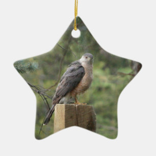 Cooper's havik keramisch ornament