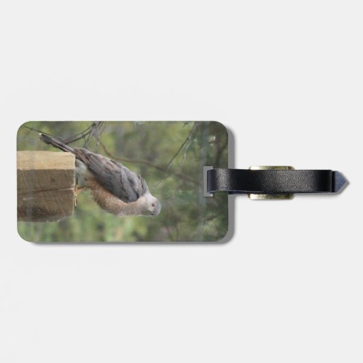 Cooper's Hawk Bagagelabel (Achterkant horizontaal)