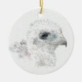 Coopers Hawk Chick Keramisch Ornament (Voorkant)