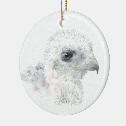 Coopers Hawk Chick Keramisch Ornament (Links)