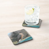 Coopers Hawk Drankjes Onderzetter (Rechterzijde)