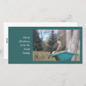 Coopers Hawk Feestdagenkaart (Voorkant / Achterkant)