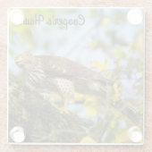Cooper's Hawk Glazen Onderzetter (Achterkant)