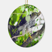 "Coopers Hawk in the Grapevine" Keramisch Ornament (Links)
