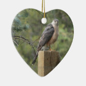 Cooper's Hawk Keramisch Ornament (Rechts)
