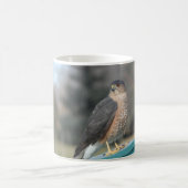 Coopers Hawk Koffiemok (Center)