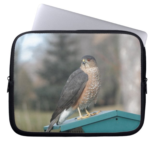 Coopers Hawk Laptop Sleeve (Voorkant)