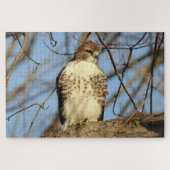 Cooper's Hawk Legpuzzel (Horizontaal)