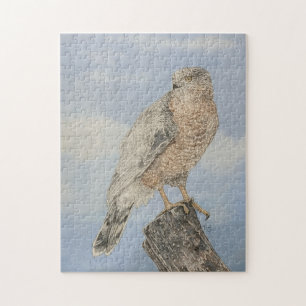 Cooper's Hawk Legpuzzel