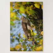Cooper's Hawk Legpuzzel (Verticaal)