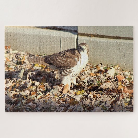 Cooper's Hawk Legpuzzel (Horizontaal)