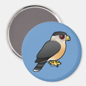 Cooper's Hawk Magneet (Voorkant / Achterkant)