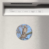Cooper's Hawk magnet Magneet (Insitu (Vaatwasser))