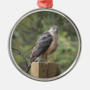 Cooper's Hawk Metalen Ornament