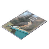 Coopers Hawk Notitieboek (Linkerzijde)