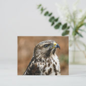 Cooper's Hawk Photo Briefkaart (Staand voorkant)