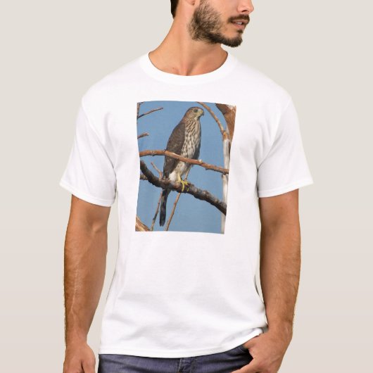 Coopers Hawk T-shirt (Voorkant)