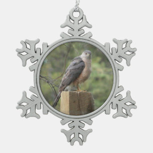 Cooper's Hawk Tin Sneeuwvlok Ornament