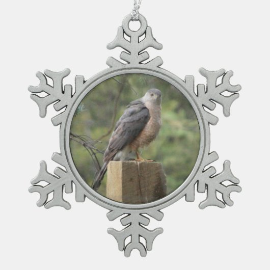 Cooper's Hawk Tin Sneeuwvlok Ornament (Voorkant)