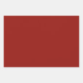 Coördinaat Mix Solid Kleuren- Stijl 2 Inpakpapier Vel (Voorkant 3)