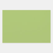 Coördinaat Mix Solid Kleuren- Stijl 2 Inpakpapier Vel (Voorkant 2)