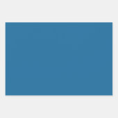 Coördinaat Mix Solid Kleuren- Stijl 2 Inpakpapier Vel (Voorkant)