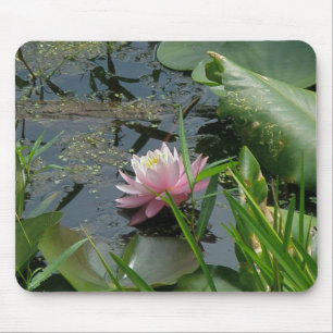 Coördinatiepunten roze waterLily Muismat