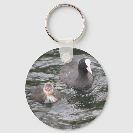 Coot and Chick Sleutelhanger (Voorkant)