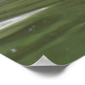 Coot Swimming Print (Hoek)