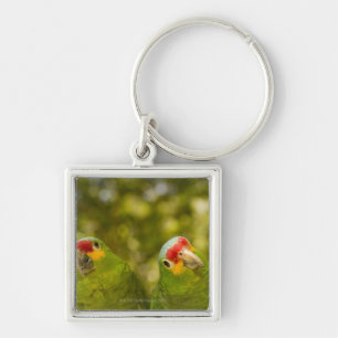 Copan, Honduras Sleutelhanger