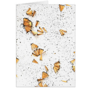 copeaux de crayon de graphite