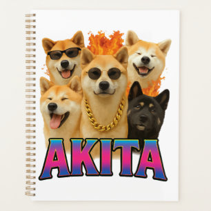 Copie Akita