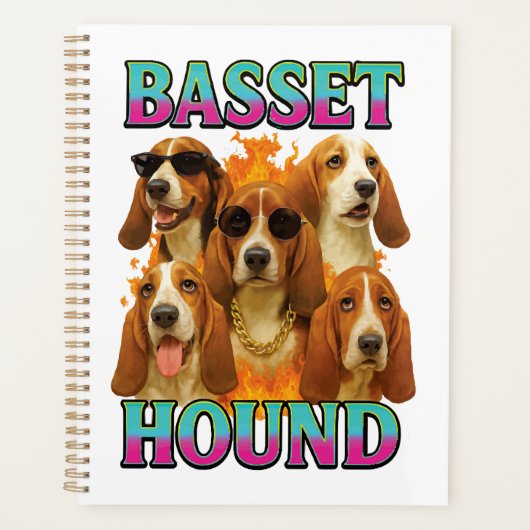 Copie Basset Hound (Devant)