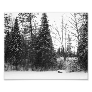 Copie BW de photo de scène d'hiver