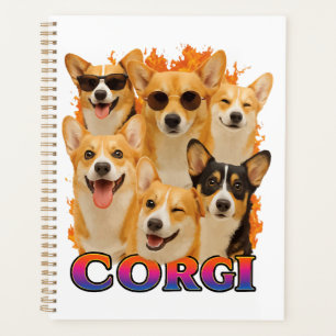 Copie Corgi