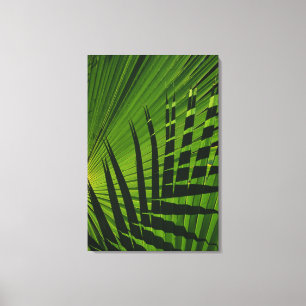 Copie de fronde de paume sur la toile