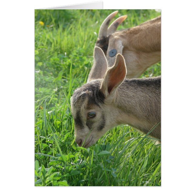 Copie de la maman (Devant)