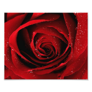 copie de la photo 8x10