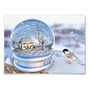 Copie de photo de globe de flocon de neige