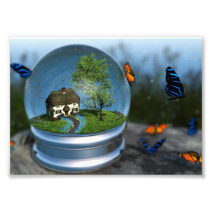 Copie de photo de globe de papillon