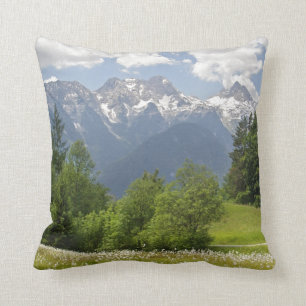 Copie de photo de l'Autriche de coussin de paysage