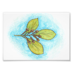 Copie de photo d'illustration de clou de girofle