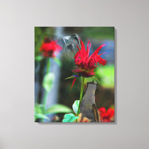 Copie de toile de COLIBRIS - 20 x 24
