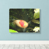 Copie de toile de poisson rouge (Insitu (Plancher de Bois))