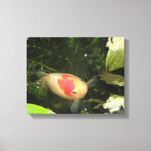 Copie de toile de poisson rouge (Recto)
