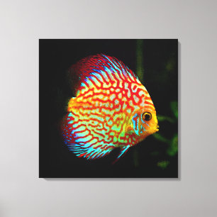 Copie de toile de poissons d'aquarium de disque