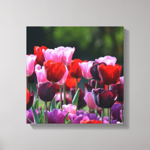 Copie de toile de tulipes